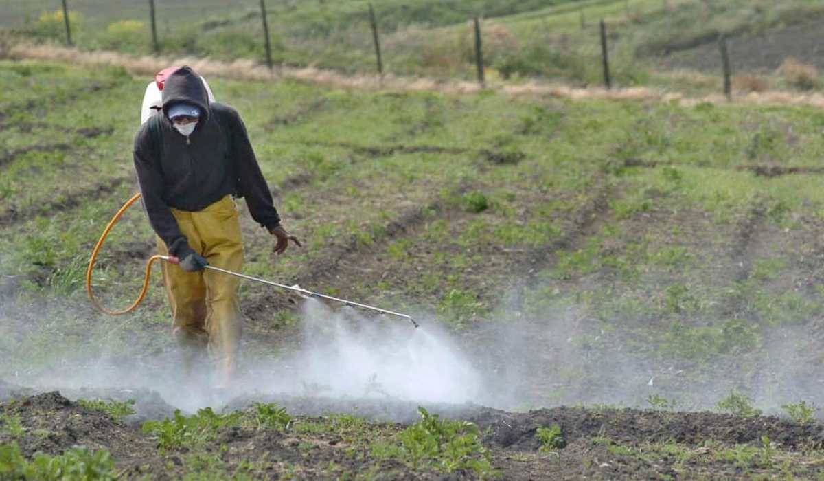 DESPERTADOR WEB16-12