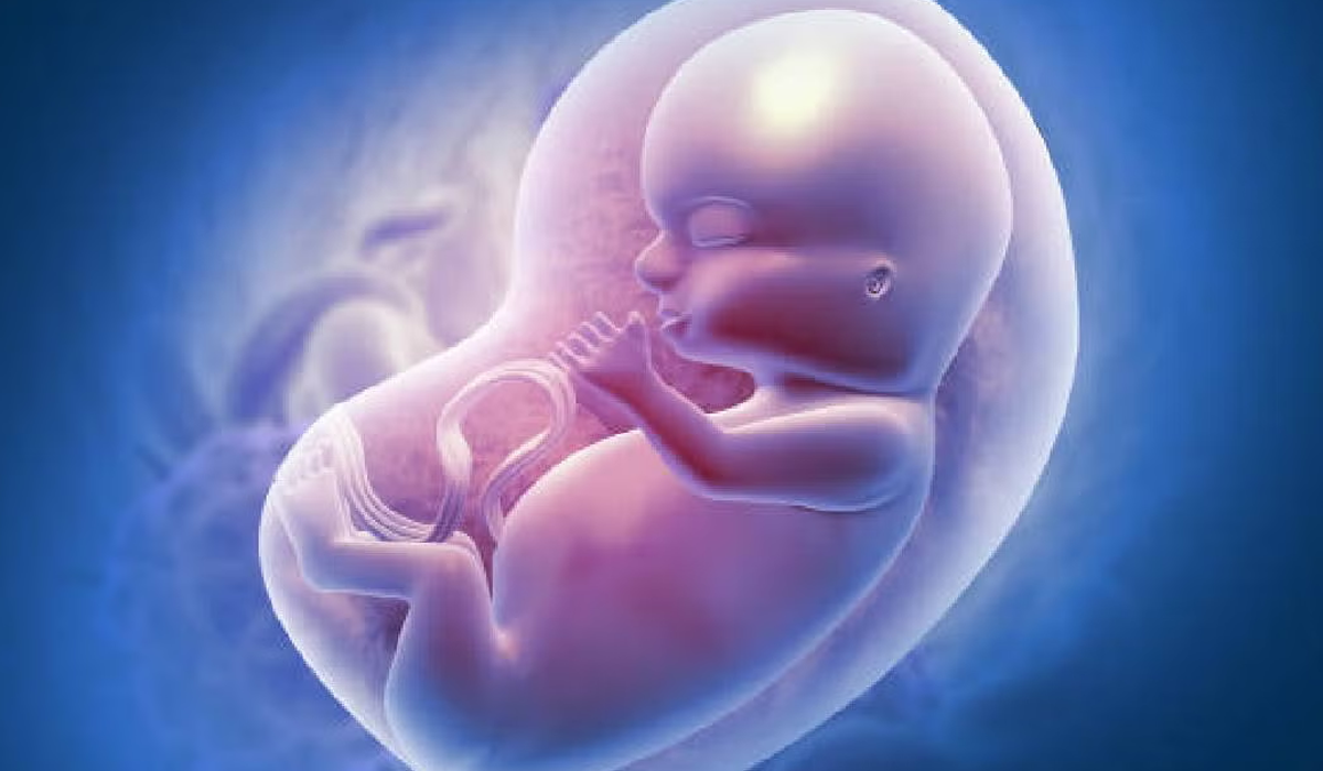 DESPERTADOR WEB 2agos -11