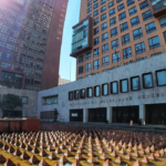 Fracasa licitación de pasaportes                                       SRE declara desierto contrato millonario federal