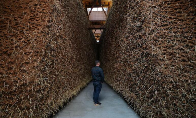 Delcy Morelos presenta instalación inmersiva en Londres