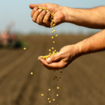 Revisión del T-MEC reabre debate sobre crisis del campo