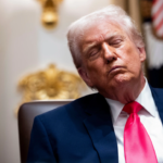 Aliados e instituciones pagan costo político de Trump