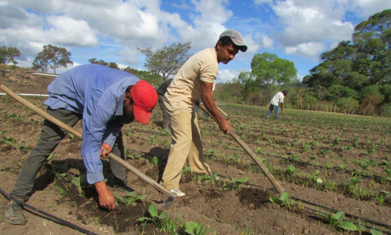 Sader amplía apoyos benefician a agroproductores del país