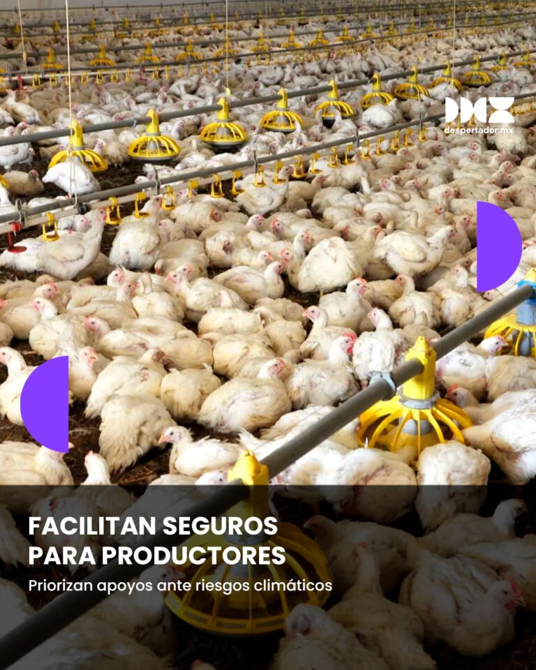 Facilitan seguros para productores