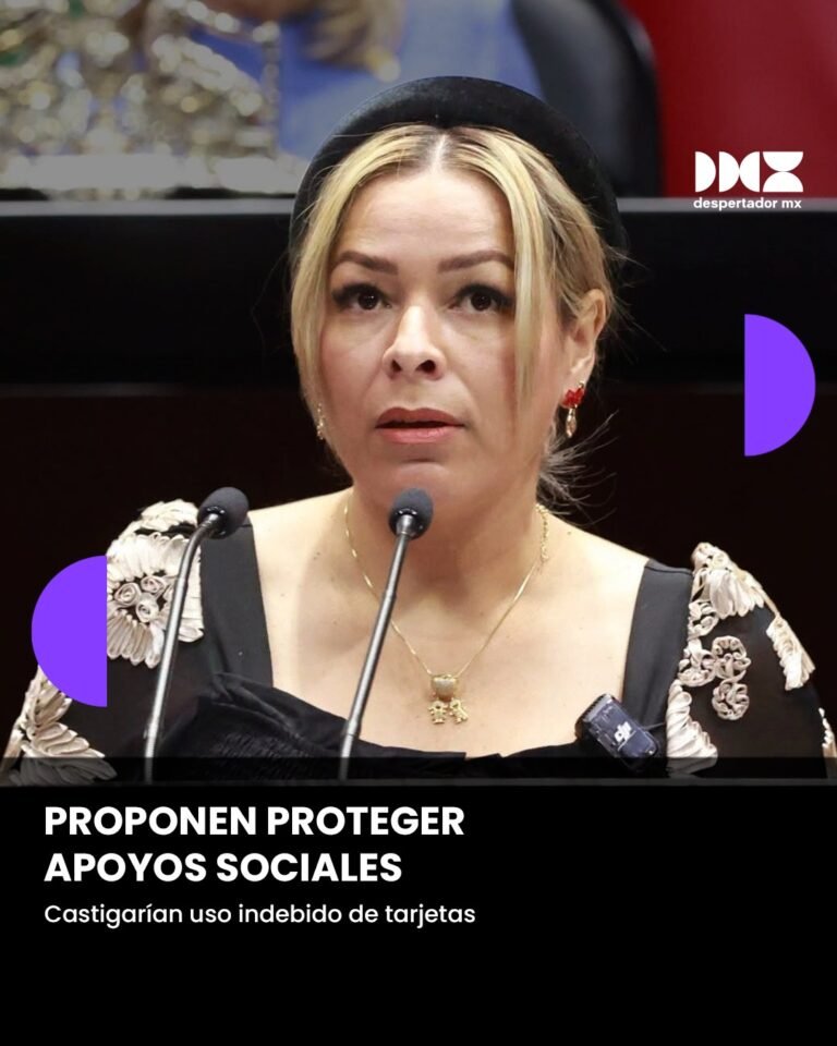 Proponen proteger apoyos sociales
