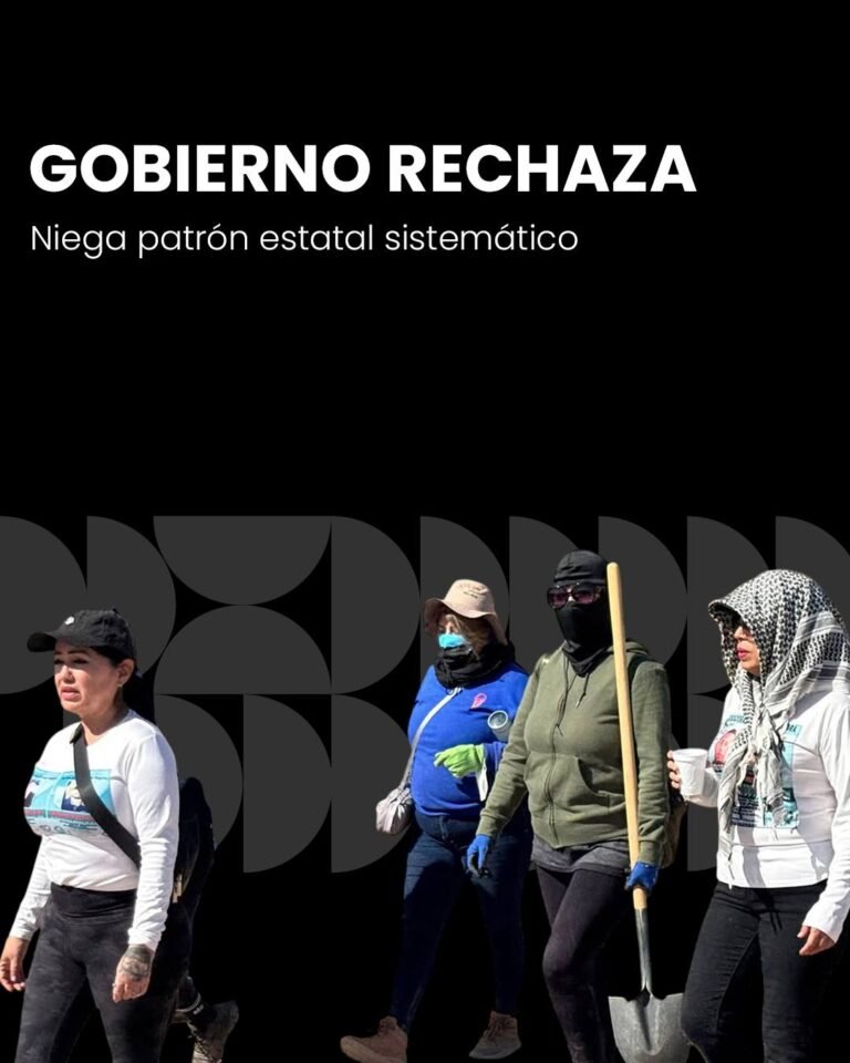 Gobierno rechaza patrón estatal sistemático